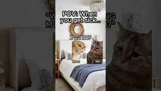 CAT MEMES 🐱 MOM VS GRANDMA #relatable #funny #family #cat #shorts