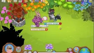 I CAUGHT A SCAMMER ON ANIMAL JAM!