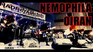 NEMOPHILA / OIRAN [Official Live Video]