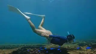 Freediving in werck 外木山沉船 自由潛水