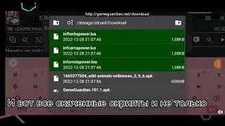 what to do after downloading scripts answer here/что делать после скачки скриптов ответ тут