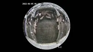 RoiDOME-2