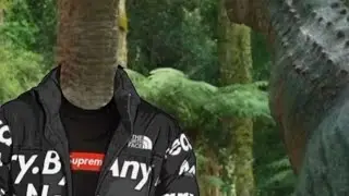 Coproliteposting Paleontology memes Ep 12