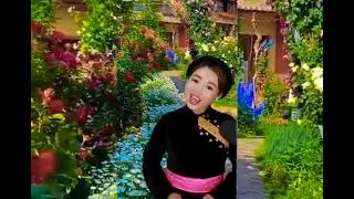 Hoa của núi - Anh Trang YB cover  : Nhạc Tây Bắc.