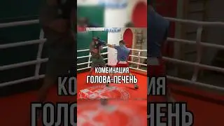 Голова - печень #бокс #школабокса #удар #boxingtraining #boxing #ударка #тренировка #мма #апперкот