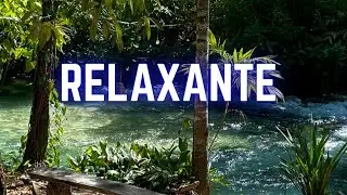 Efeito camomila ÁGUAS RELAXANTES DESFRUTE A NATUREZA