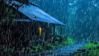 Rain Sounds for Sleep – Night Rain & Gentle Thunder to Calm Your Mind and Sleep Well