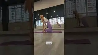 УШТРАСАНА поза верблюда #yogaonline #йогадома #хатхайога #йогаонлайн