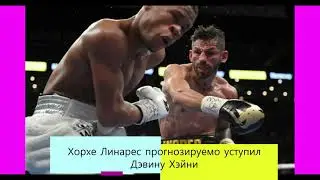 Хорхе Линарес прогнозируемо уступил Дэвину Хэйни