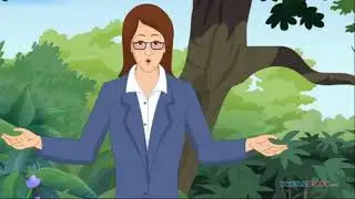 What is PLASMA?  States of Matter  *Science in Seconds*  TurtleDiary.com