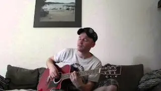 Foo Fighters - Skin And Bones (cover)