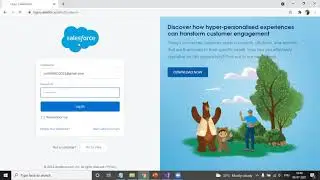 Salesforce REST API Integration: How to make Rest request from Dot Net to Salesforce
