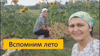 В подсолнухах. С мамой чистим горох в деревне.