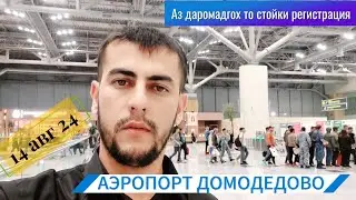 Аэропорт Домодедово / 14.08.24г. @parvoz_tv