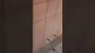Вопрос решалам