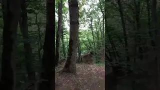 Şabran Sərin bulaq / meşədə gəzinti