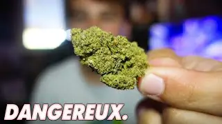 Premier joint après une semaine sans bédave..