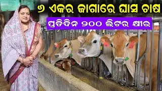 ପ୍ରତିଦିନ ୨୦୦ ଲିଟର କ୍ଷୀର ||  200 liters Milk production of every day. @EfarmingOdisha