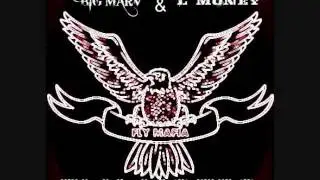 Fly Mafia-Expression