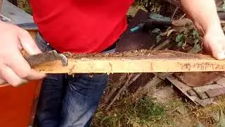 30.09.2019 расплода почти нет.