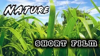 Nature Cinematic Short Film || #CinematicNatureVlog @Rushikesh_Falke