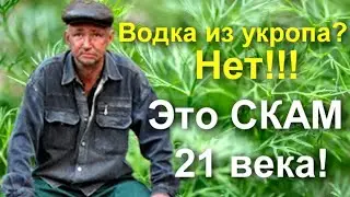 Водка из укропа? НЕТ!!! Это скам 21века!!!