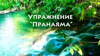 Упражнение "Пранаяма"