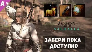 УСПЕЙ ЗАБРАТЬ 🔥  Наручи Гота, Легкий Щит, Олень из сета Таранис в лавке Реды AC Вальгалла