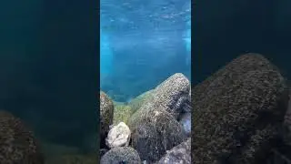 Samsung S20 Ultra Under water test |  