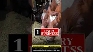 TOP-5 Agri Business ideas 💡
