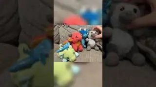 Turtle Turns Back Into Ball Because of the Glitch!