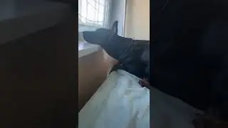 Удобно? 