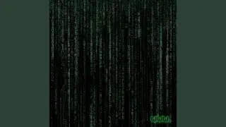 www.