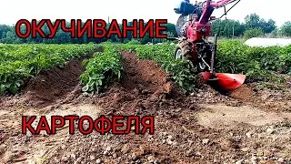 Окучивание картофеля