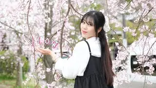 Xuân và Kyoto