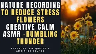 Nature Recording To Reduce Stress - Flowers | Creative Calm ASMR | Rumbling Thunder