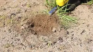 Лёгкая прополка с уникальной аккумуляторной ручной вибрационной прополочной машинкой Musashi WE-750