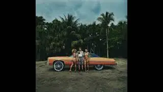 (FREE) Luh Tyler x Wizz Havinn Type Beat - Servin