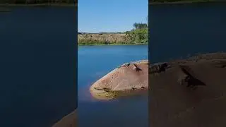 Карьер в Выборгском районе #рыбалка #carpfishing #fishing #fish #nature #feeder