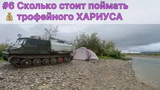 #6 Сколько стоит поймать крупного ХАРИУСА