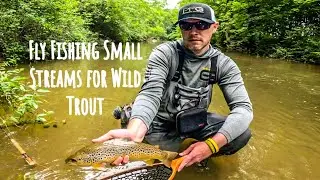 Fly Fishing Small Streams for Wild Trout