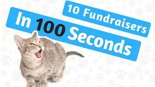 Fundraising Ideas With Photos - 10 in 100 seconds