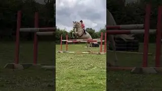 Jumping the BEST stallion #horse #equestrian #riding #showjumping #horseriding #horselover #fyp
