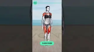 ➜ REDUCE Your 'DONUT BELLY' in Just 5 Weeks ➜ 30 minute STANDING Workout Exercises #25