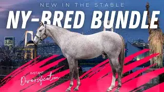 NEW NY Bred Bundle