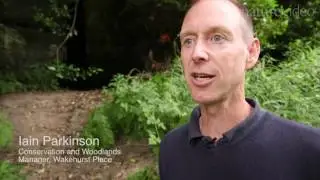 Plant Invaders: better management of alien species in Europe