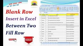 How to Blank Row insert to Excel between Two Row