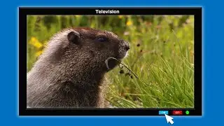 Animation of Turning On and Off Television - Using PowerPoint 2021