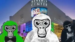 A monke joins the C.I.A