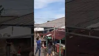 Trick Shot! throw plastic flap and hit the can! #Shorts